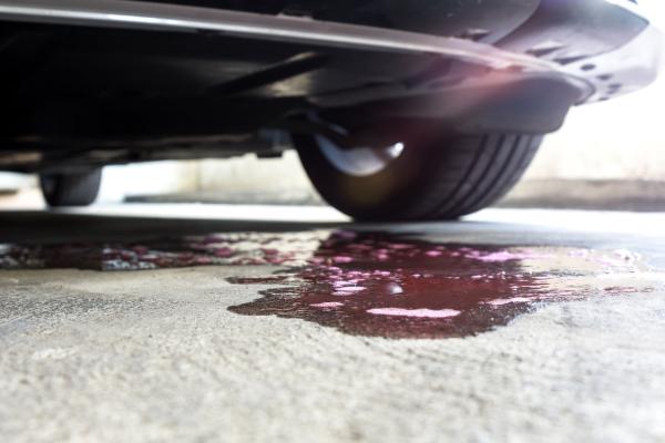 Ford coolant leak fix