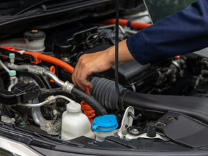 Engine Service Inspection Steps